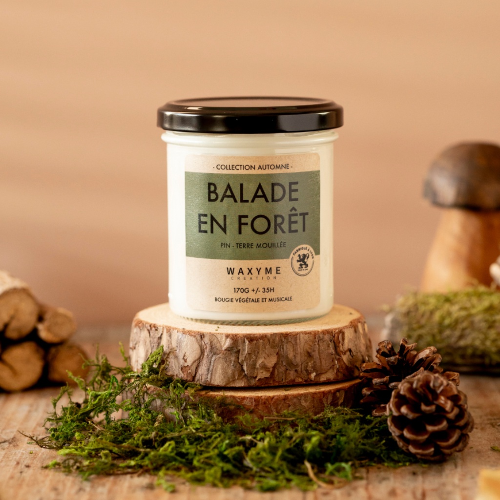 Balade en forêt